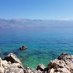 Ankica
