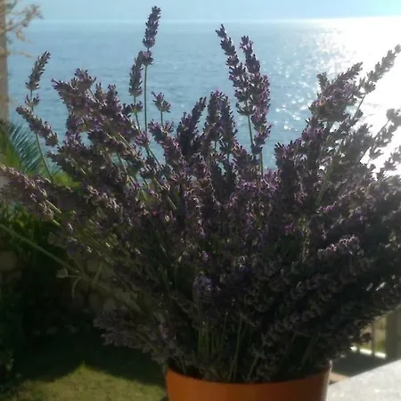 Appartement Ankica Ražanac