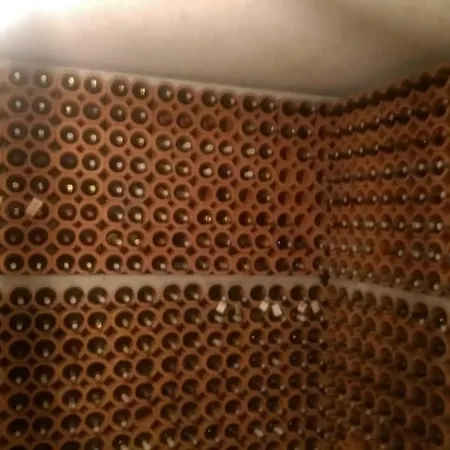 Ankica Appartement Ražanac