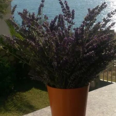 Appartement Ankica